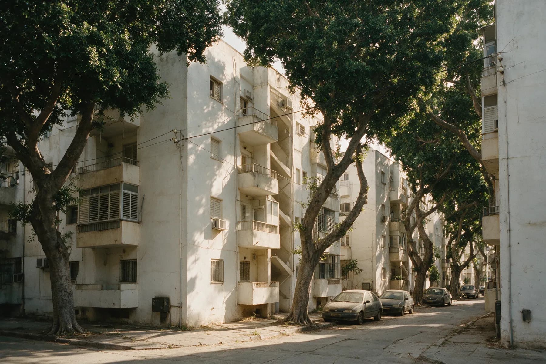 רחוב צר עם בניין שיכון מטויח, מרפסות בטון ותריסי אלומיניום, ועץ פיקוס גדול על המדרכה