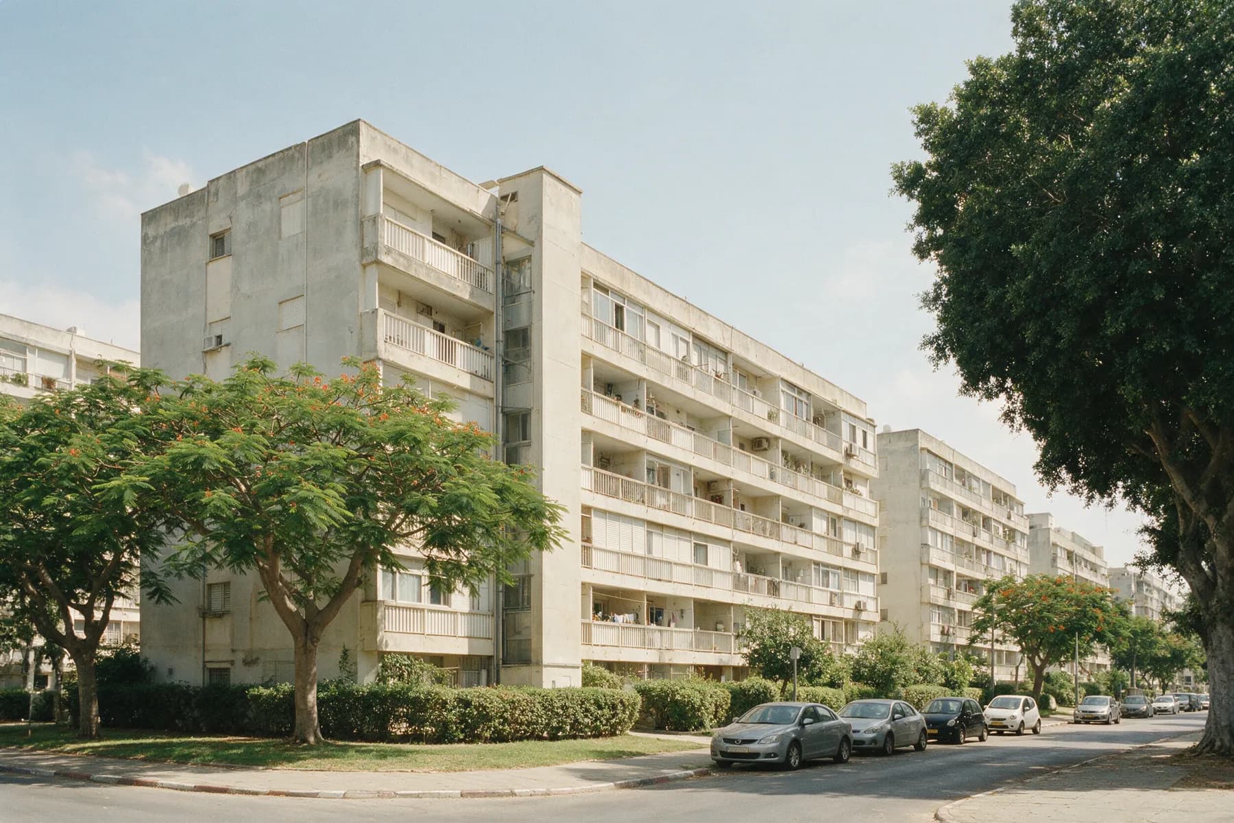 בניין שיכון בן חמש קומות עם רצועות מרפסות ארוכות, גדר שיחים גזומה וצאלון פורח לפניו